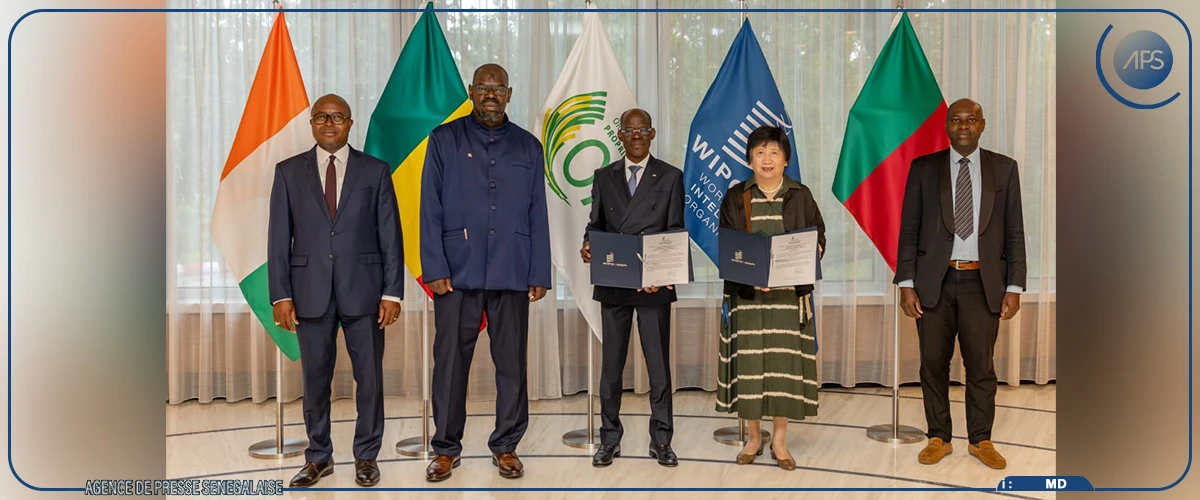 Indication géographique protégée : le madd de Casamance obtient son certificat d'enregistrement international
