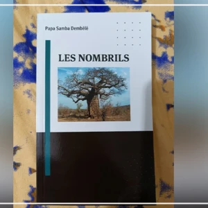 Un auteur alerte sur ''le piège de l’individualisme'' qui guette les sociétés africaines