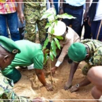 Matam : les populations invitées à assurer une meilleure protection et un suivi régulier des plants