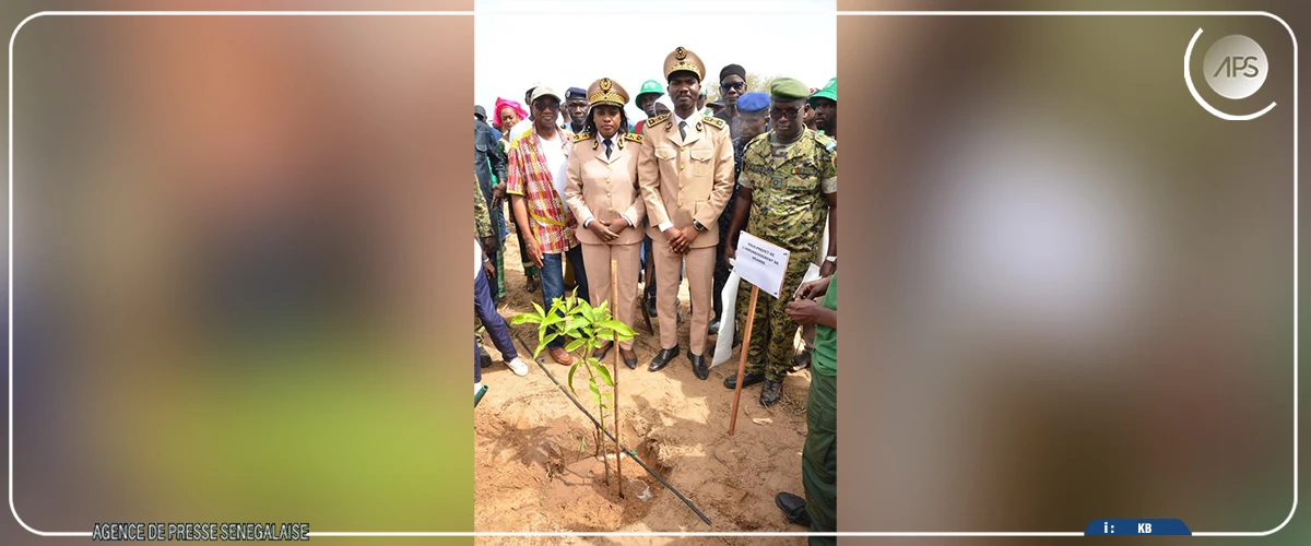 Matam : les populations invitées à assurer une meilleure protection et un suivi régulier des plants