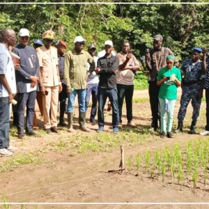 Cheikhou Oumar Ba en tournée de suivi de l'évolution de la campagne agricole dans la région de Sédhiou