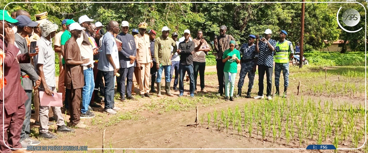 Cheikhou Oumar Ba en tournée de suivi de l’évolution de la campagne agricole dans la région de Sédhiou