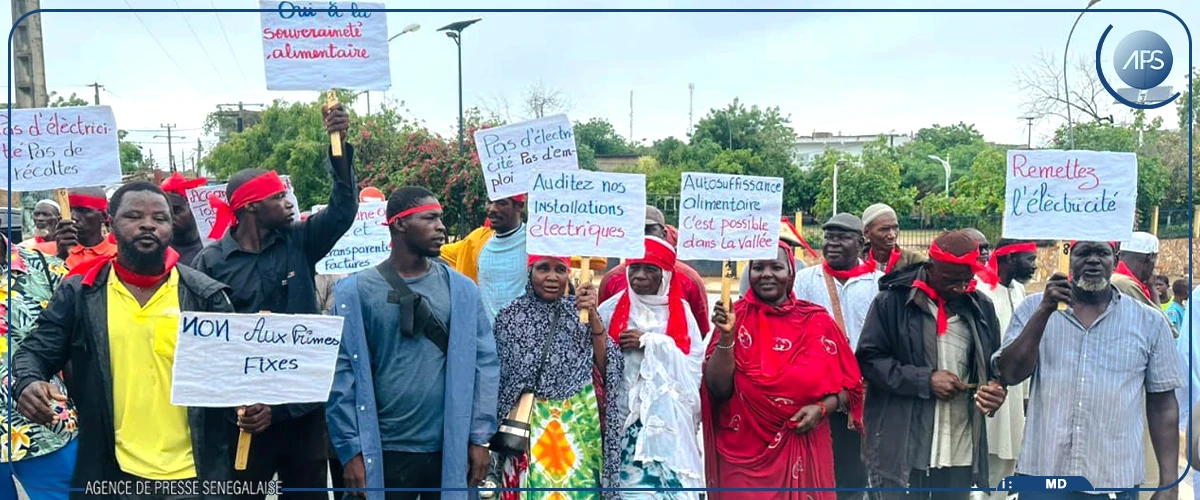 Bakel : marche pacifique des producteurs rizicoles contre les coupures d'électricité dans les stations de pompage