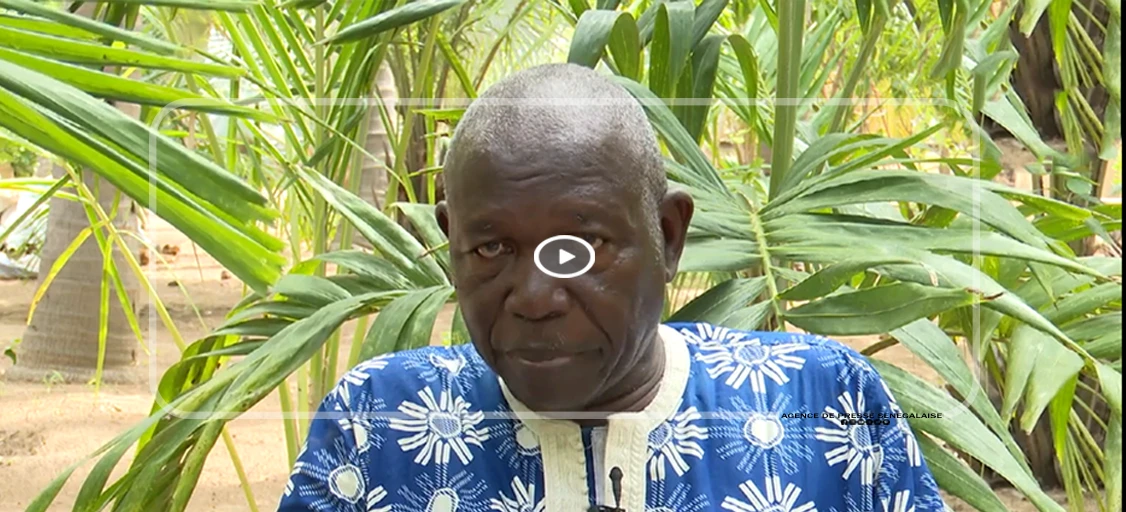 Le pionnier de Kaydara : quand la terre renaît