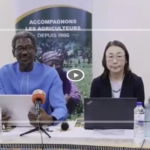 Agriculture : l’ONG japonaise Sasakawa Africa Association affiche ses ambitions pour le Sénégal
