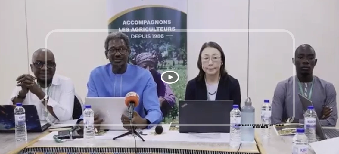 Agriculture : l’ONG japonaise Sasakawa Africa Association affiche ses ambitions pour le Sénégal