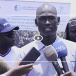 Mbour : 75 ruches pour booster l’apiculture de mangrove à Somone
