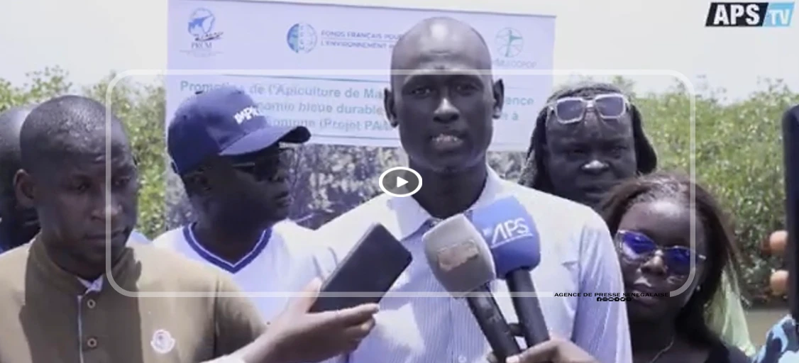 Mbour : 75 ruches pour booster l’apiculture de mangrove à Somone