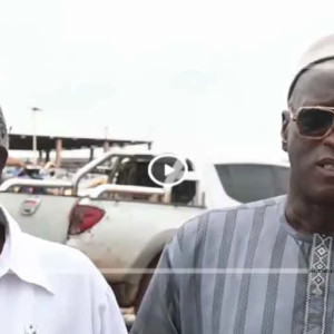 Gamou 2026 : les chauffeurs de Kaolack appelés à la responsabilité et au respect du code de la route