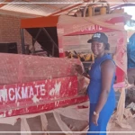 Mbour : plus de 25 personnes formées aux techniques d’écoconstruction