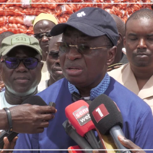 Gamou : Serigne Gueye Diop juge ''satisfaisant'' l’approvisionnement du marché en oignon et pomme de terre
