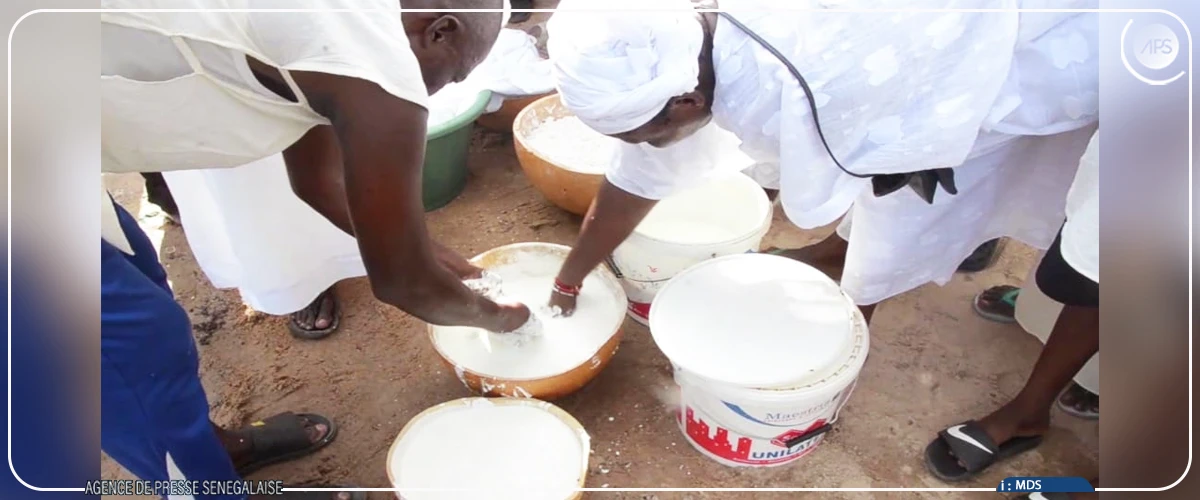 Kaolack : le rituel ancestral ‘’Tourou Mbossé’’ perpétué dans les eaux du Saloum