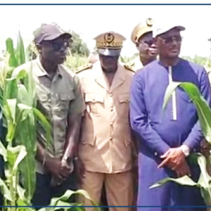 Kolda : Cheikhou Oumar Ba promet des mesures concrètes aux attentes des producteurs