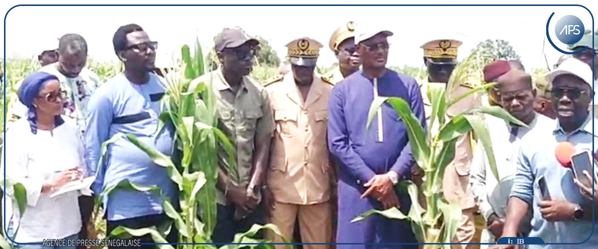 Kolda : Cheikhou Oumar Ba promet des mesures concrètes aux attentes des producteurs