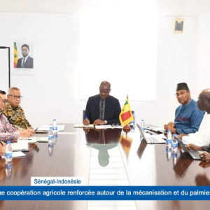 Sénégal-Indonésie : vers une coopération agricole renforcée autour de la mécanisation et du palmier à huile