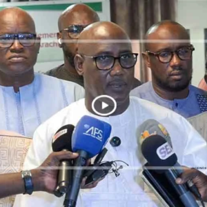 CNIA : Modou Fall affiche l’ambition d’un "redressement " au service de la filière arachidière