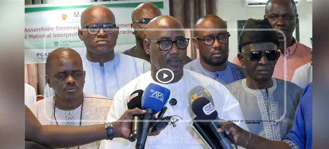 CNIA : Modou Fall affiche l’ambition d’un “redressement ” au service de la filière arachidière