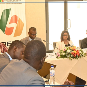 Le Sénégal peut accroître sa productivité énergétique et dépasser les objectifs de l'UA (Directrice de l'AEME)