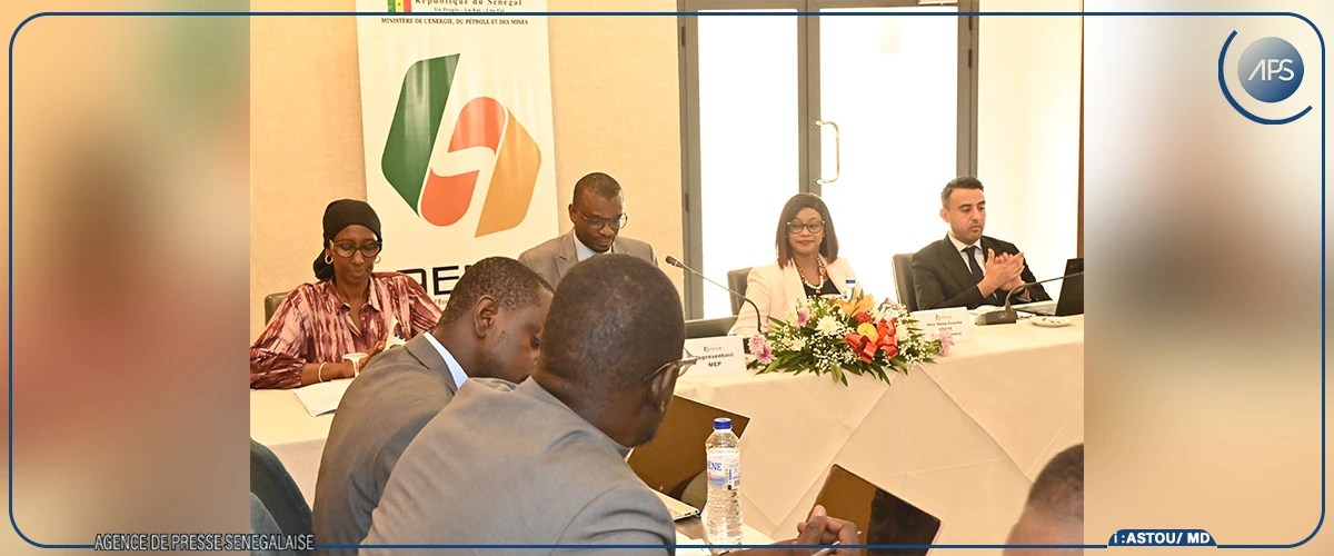 Le Sénégal peut accroître sa productivité énergétique et dépasser les objectifs de l’UA (Directrice générale de l’AEME)