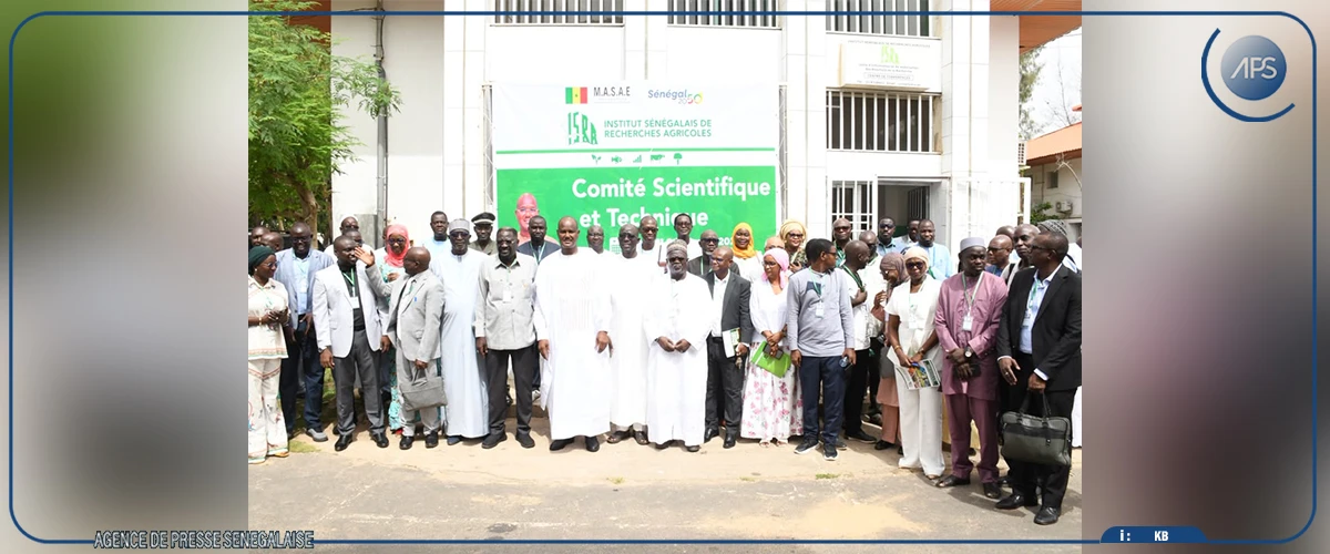 Cheikhou Oumar Ba : ''Le gouvernement est attentif au nombre limité de chercheurs dans le domaine de l'agriculture''