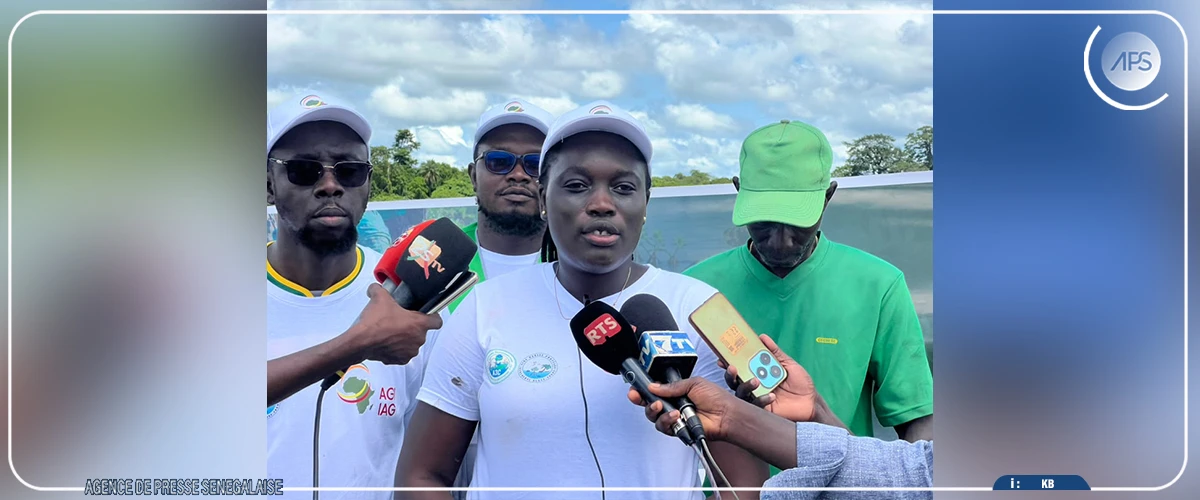 Baïla : des communautés se mobilisent dans le repiquage de la mangrove pour redonner vie à un marigot de 10 ha