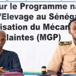 kaolack : PNDIES prévoit de nouvelles infrastructures pour renforcer l'élevage