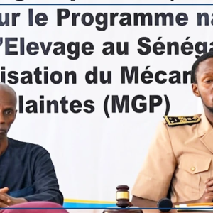 kaolack : PNDIES prévoit de nouvelles infrastructures pour renforcer l'élevage