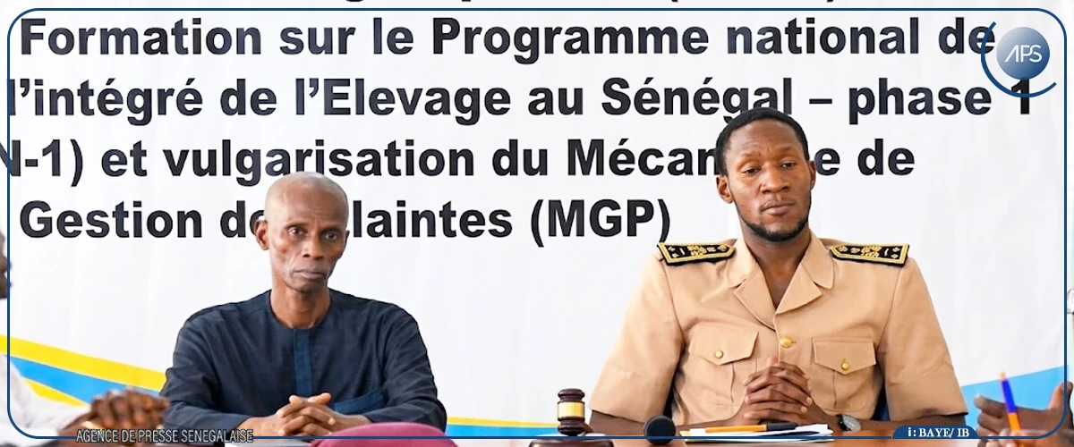kaolack : PNDIES prévoit de nouvelles infrastructures pour renforcer l’élevage