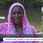 capture-d-ecran-2026-09-14-212733
