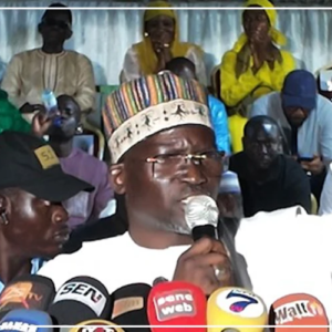 SONACOS : Cheikh Guèye annonce une diversification des activités au-delà de l’arachide