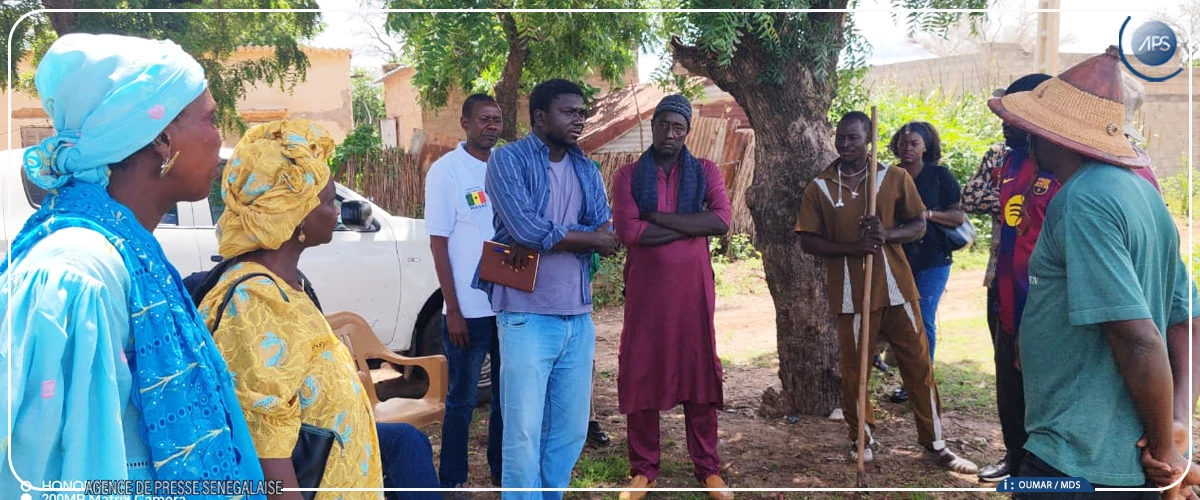Le CNRA de Bambey évalue des lignées de niébé en zone sahélo-soudanienne