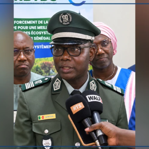 Plus de 8,5 milliards CFA nécessaires pour pérenniser le projet de Réserve du Delta du Sénégal