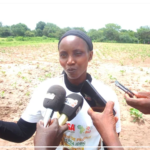 Dr Yolande Senghor, la passion du terroir au service de la recherche agronomique