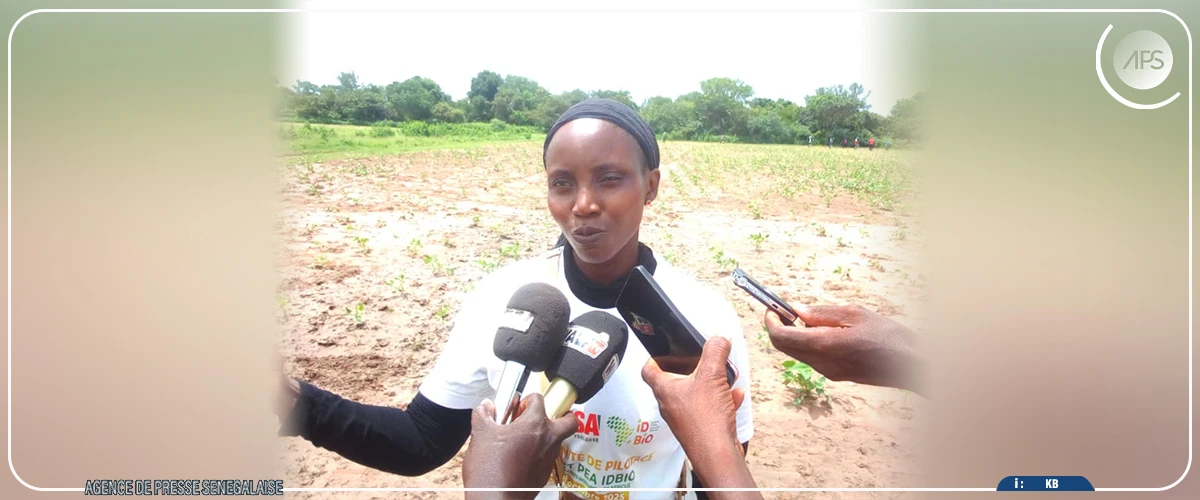 Dr Yolande Senghor, la passion du terroir au service de la recherche agronomique