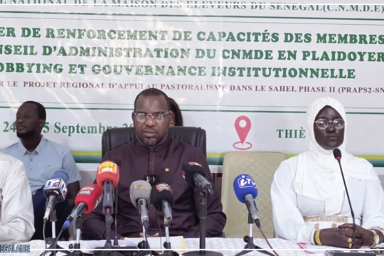 Ousmane Diagne souligne la nécessité de renforcer les organisations faîtières