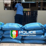 Kounkané : deux individus interpellés pour contrebande d’une tonne d’engrais vers la Guinée (Police)