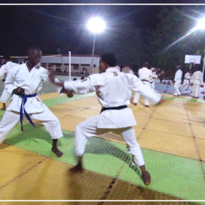 Championnats d’Afrique de karaté : six athlètes vont représenter le Sénégal à Alger (officiel)