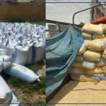 Bakel : 50 tonnes de maïs impropre à la consommation saisi par les services d'hygiène