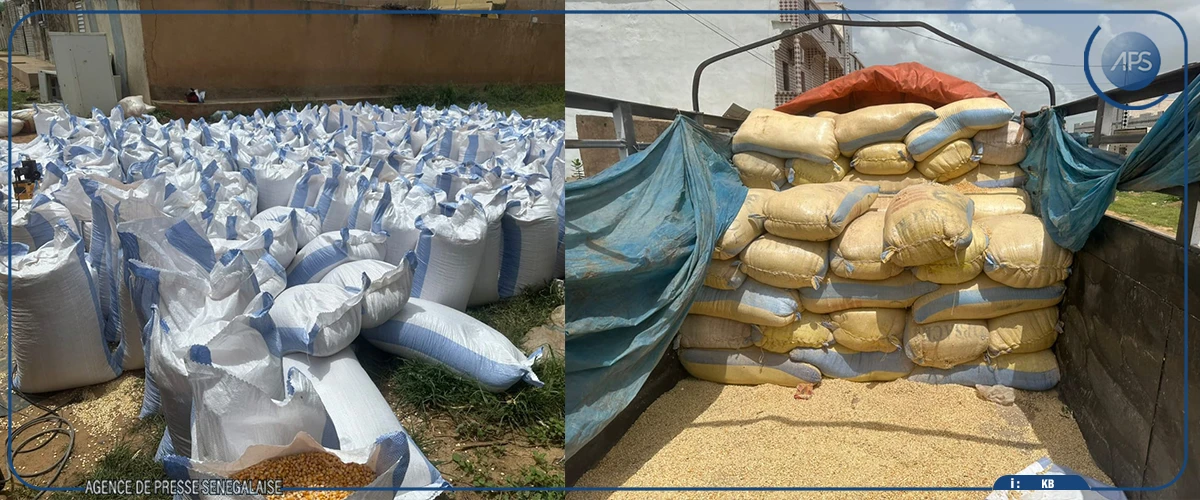 Bakel: 50 tonnes de maïs impropre à la consommation saisi par les services d’hygiène