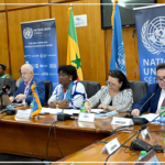 Plus de 37 000 emplois créés et 24 chaînes de valeur renforcées par le système des nations unis en 2025 (Rapport )