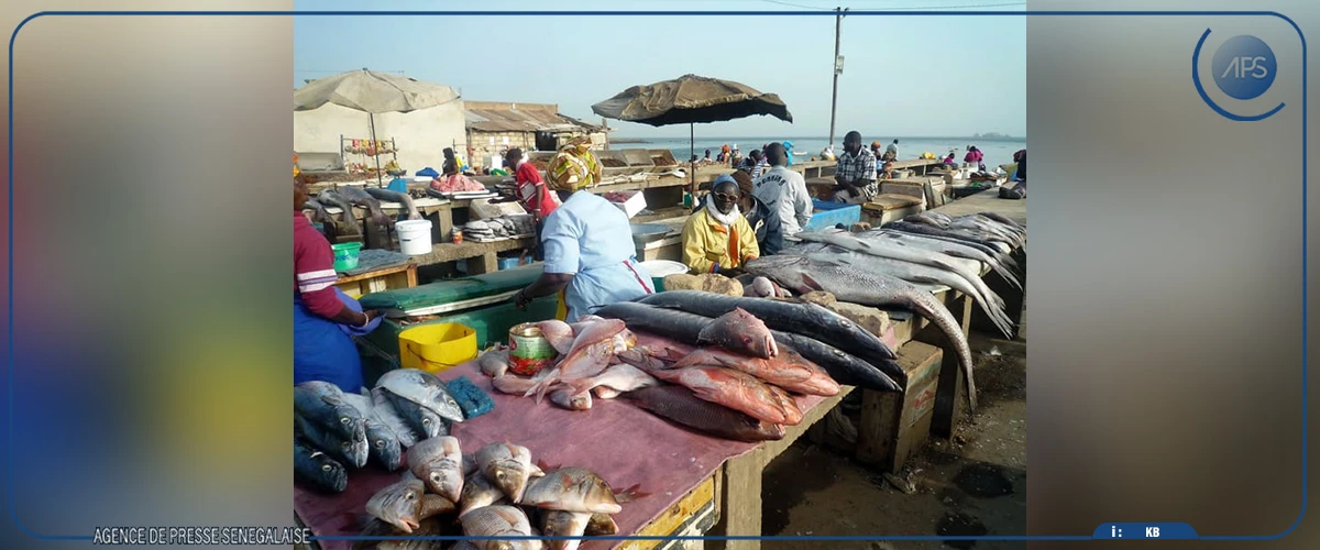 Lutte contre la cherté de la vie : le gouvernement veut améliorer la distribution du poisson