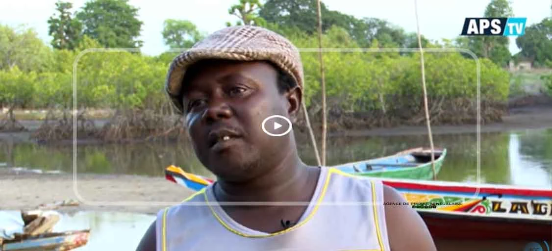 Némah Bah : quand la pêche fait souffler un nouvel espoir économique sur le Saloum