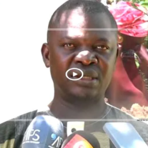 Enda Pronat lance un projet de « ponts verts » à Ziguinchor
