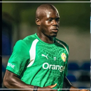 ‎Malang Sarr, Rassoul Ndiaye et Lamine Sy éligibles pour les Lions ( FSF)