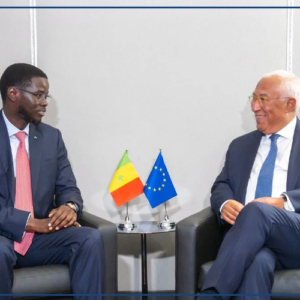 Bassirou Diomaye Faye veut poursuivre avec l'UE les discussions sur les questions de pêche et de migration