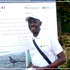 Un consultant alerte sur la vulnérabilité climatique de l'économie sénégalaise