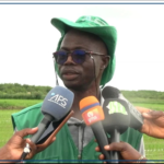 Ziguinchor : un technicien préconise des solutions pour contrer la  salinisation des rizières