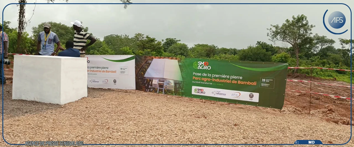Bambaly : lancement officiel d’un projet agro-industriel de 11,7 milliards de francs CFA porté par Sadio Mané