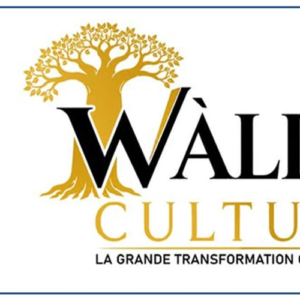 Un acteur culturel préconise le financement des pôles-territoires par l’argent issu des ressources minières et énergétiques