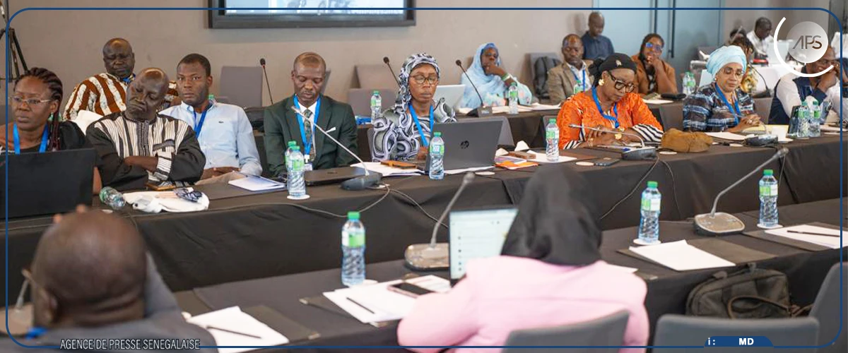Travail domestique : l'Afrique de l'Ouest et le Maghreb ensemble pour lutter contre la précarité